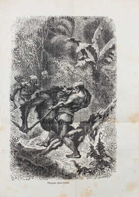 Уоллес А.Р. Малайский архипелаг. Страна оранг-утана и райской птицы / Пер. со 2 англ. изд. СПб., 1872.